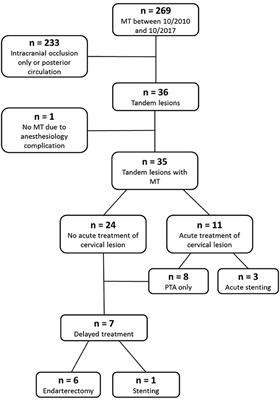 Mechanical Thrombectomy for Tandem Occlusions of the Internal Carotid Artery—Results of a Conservative Approach for the Extracranial Lesion